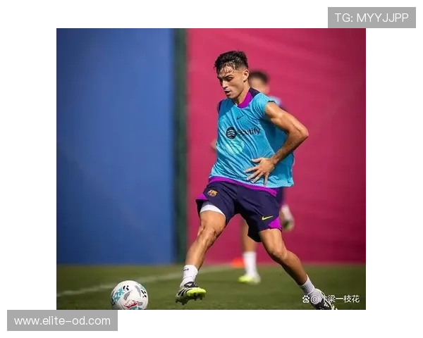 佩德里与哈维：体系核心角色及战术适配性对比分析